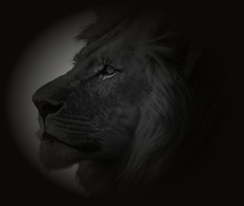 Estratégia de Comunicação e Propaganda