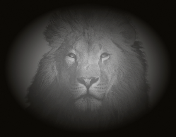 Marketing Estratégico