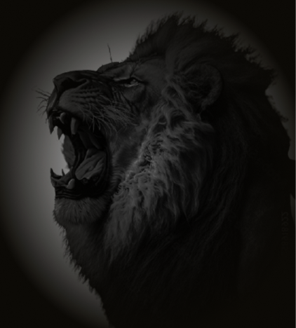 Mentoria Empresarial