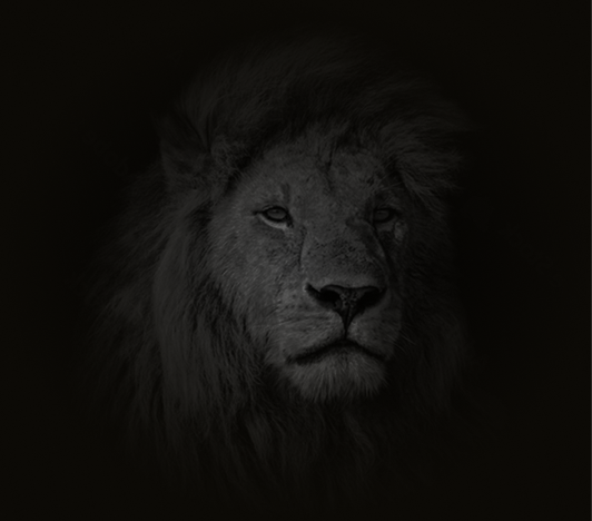 Negociação e Persuasão