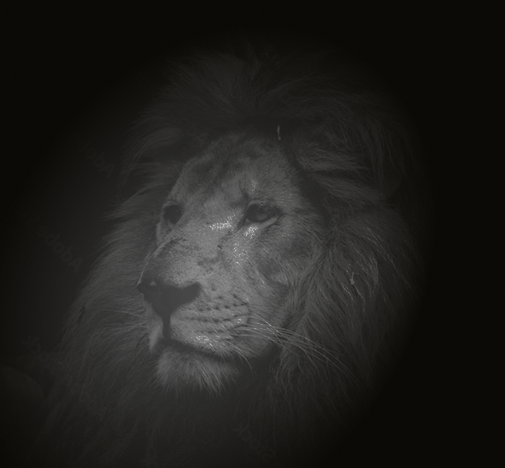 Palestras e Treinamentos On Demand